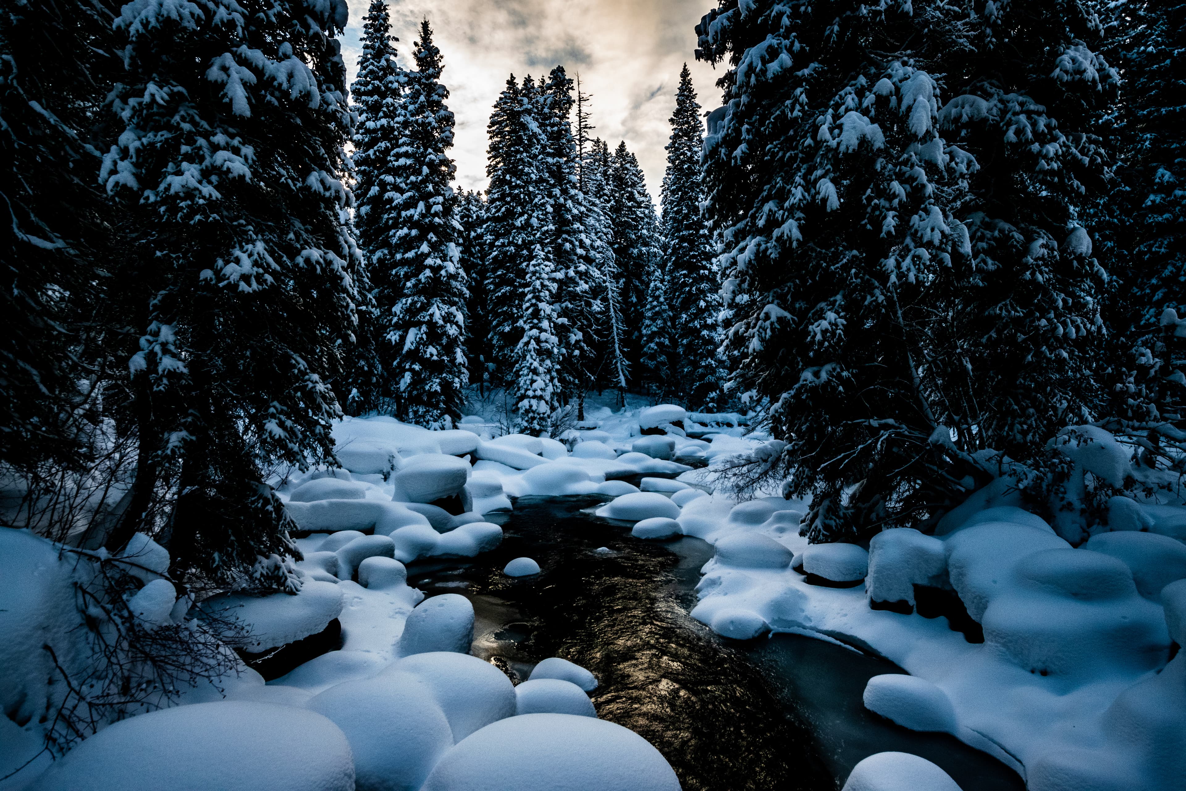 Targeted Advertising